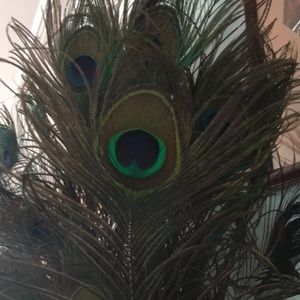 Meet your Posher, Atishri